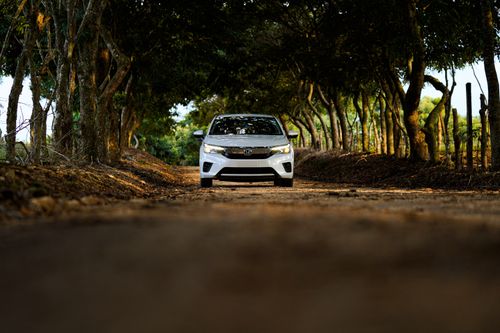 Free A white car driving on a tree-lined dirt road in Loma Bonita, Oaxaca, Mexico. Stock Photo
