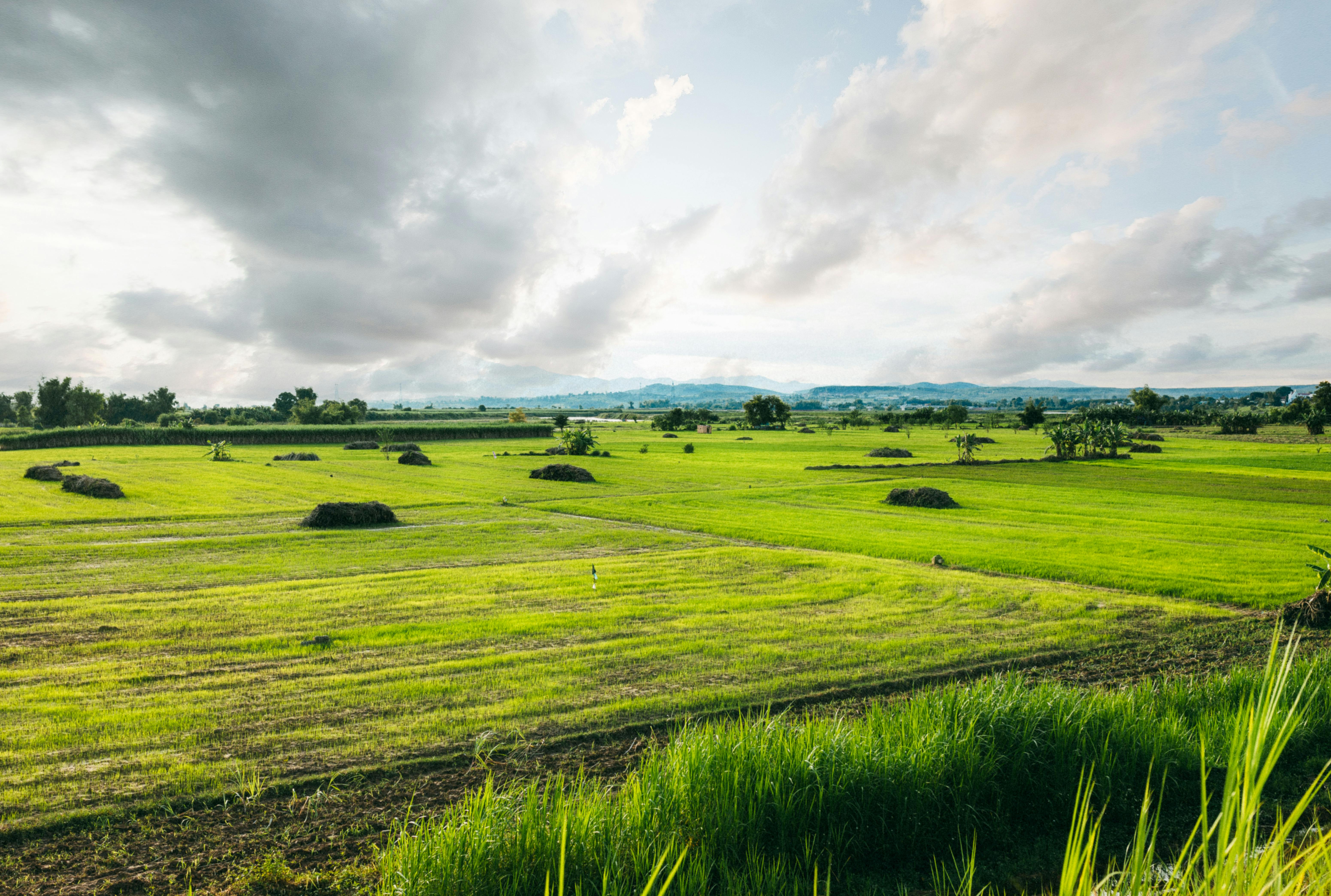 2025淨零綠生活派對引領創新轉型，共創永續未來