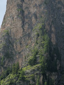 Dramatic cliffs with green flora in Selva di Val Gardena, Trentino-Alto Adige, Italy.