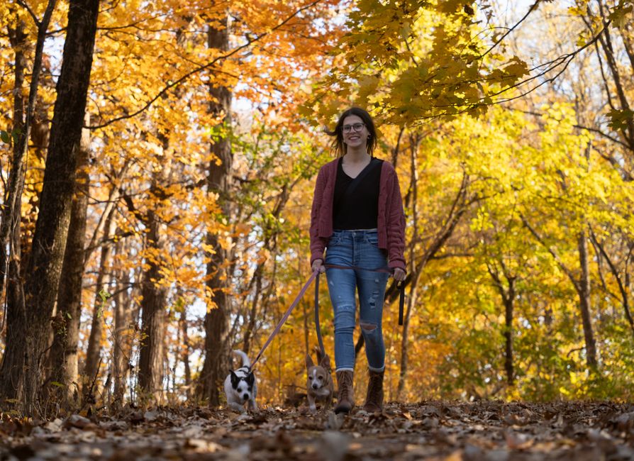전북 애견동반 펜션에서 시작한 우리의 영양 산책 이야기