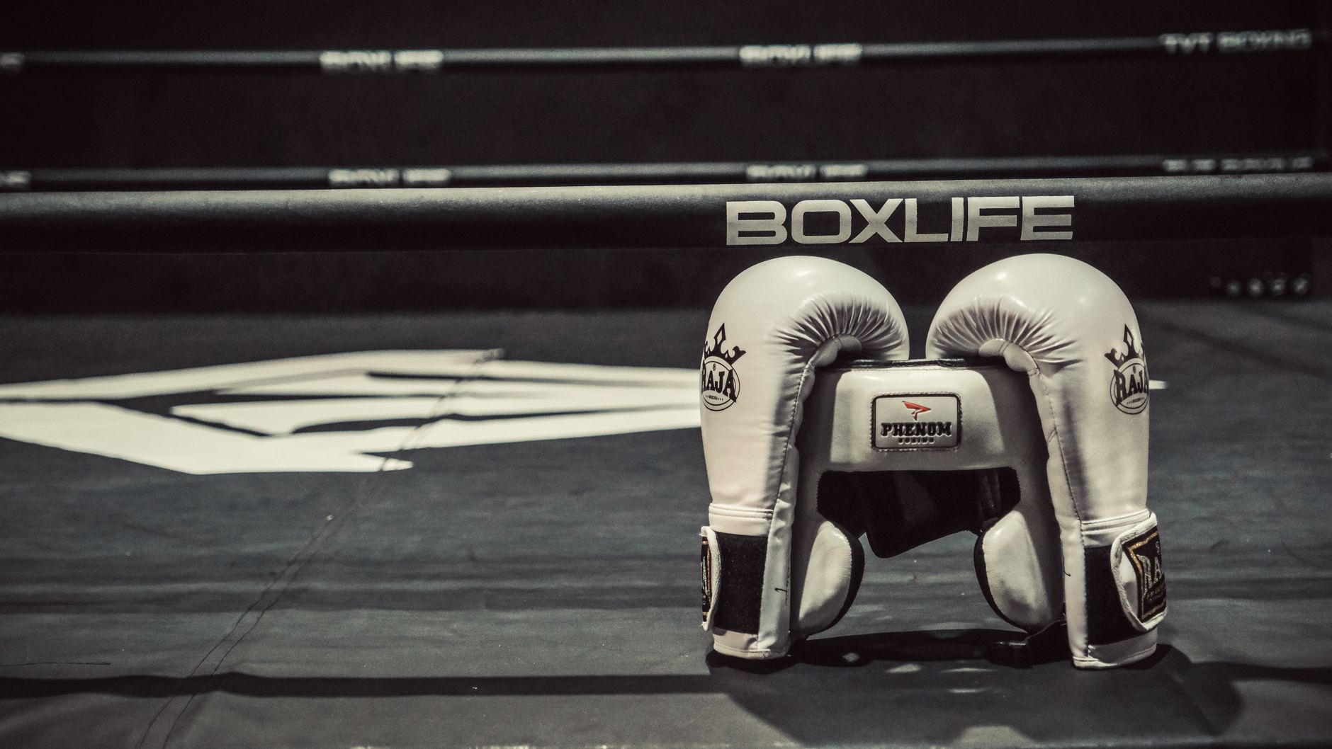 Boks müsabakası, eldivenler ve ring