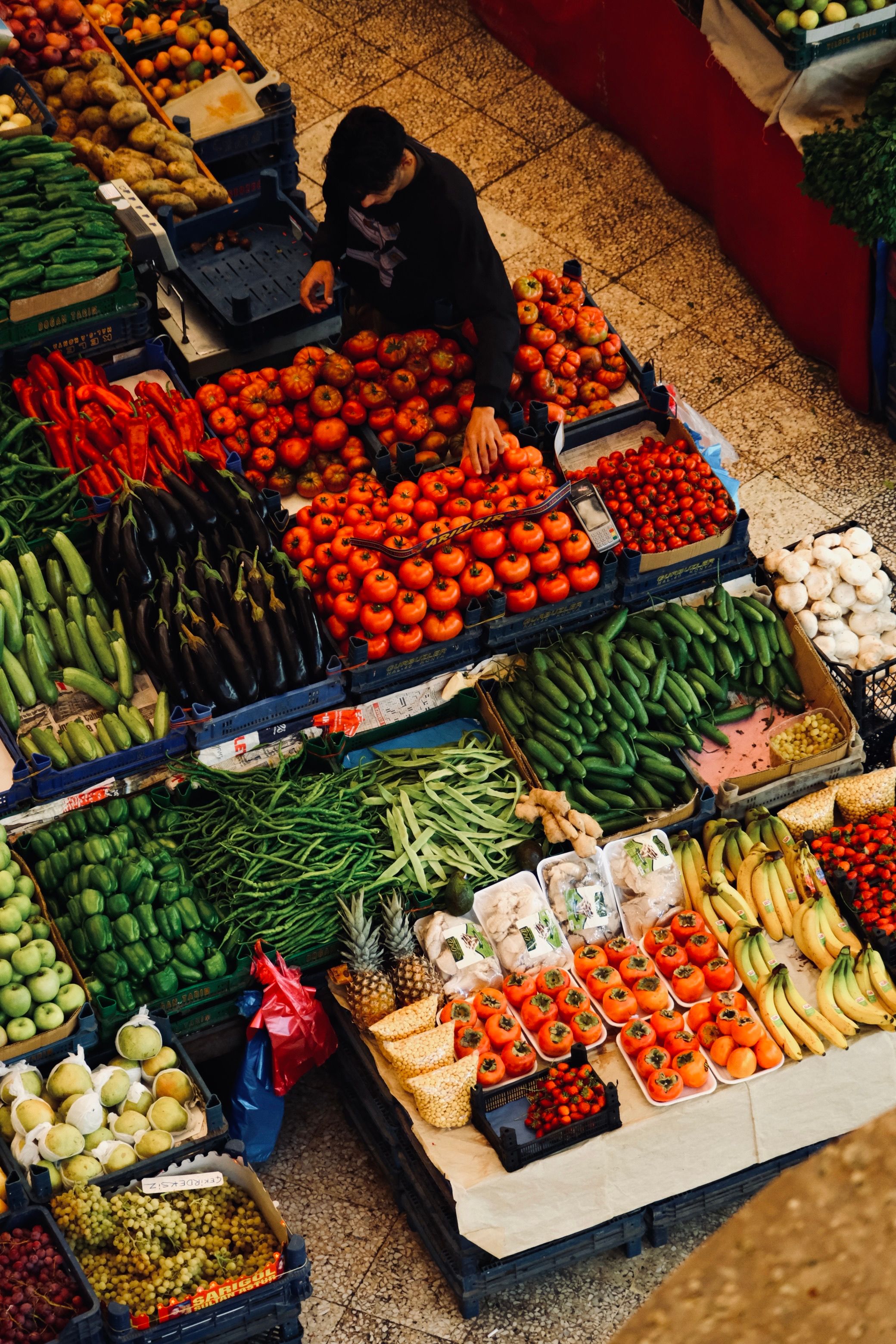 Hortifruti
