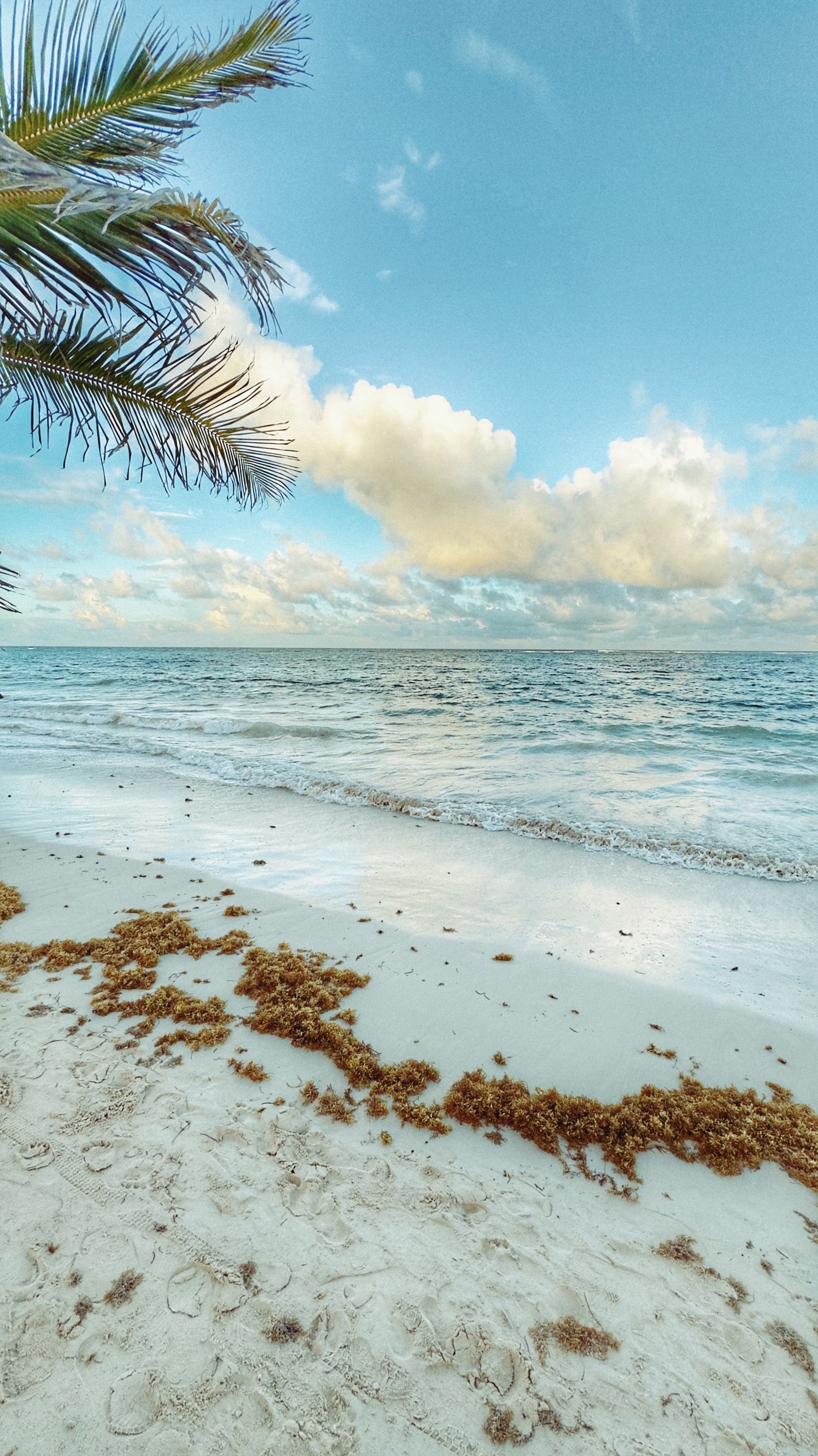 How to choose between a shared tour and a private tour in Punta Cana — Punta Cana