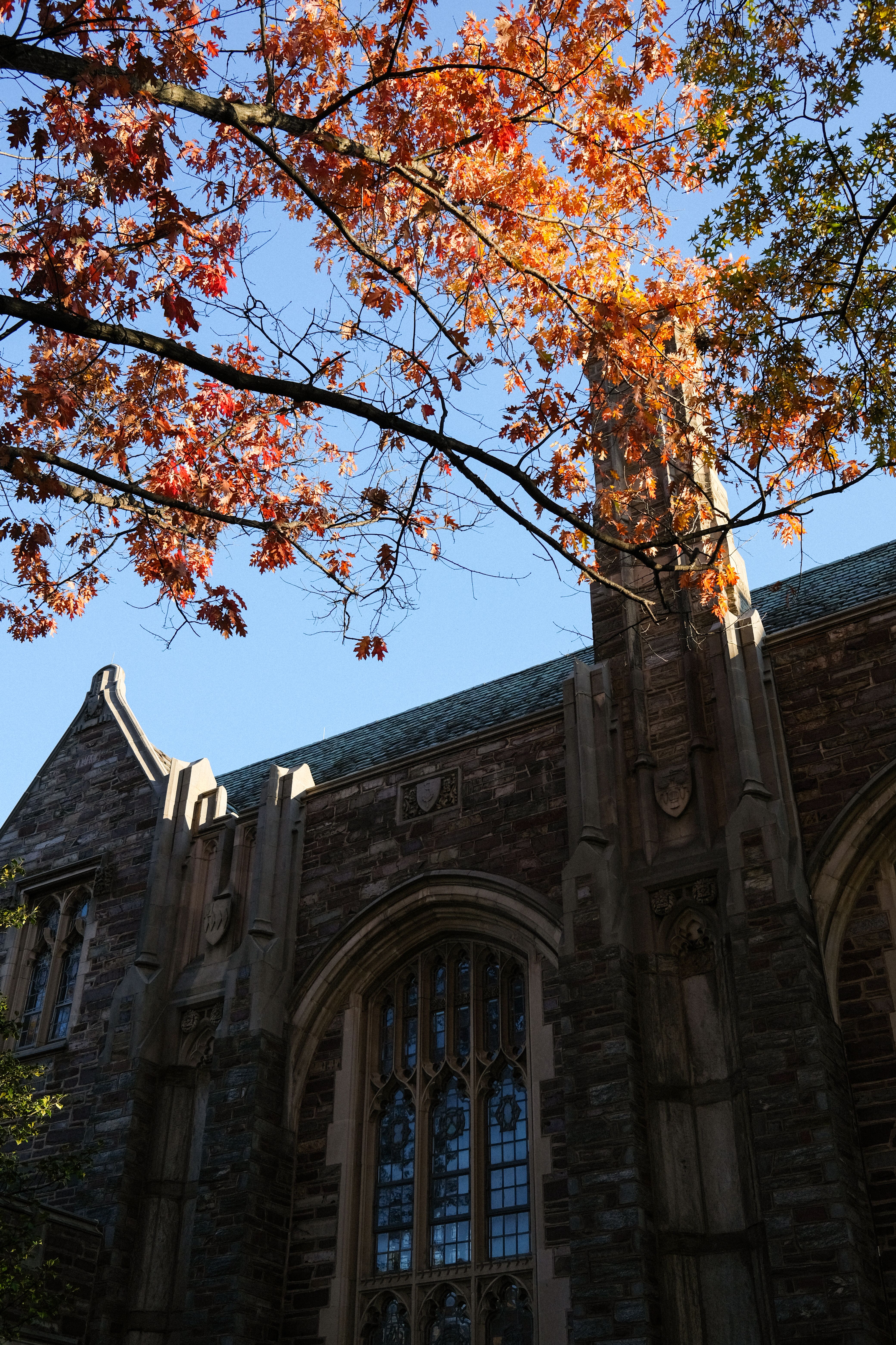 Gothic Architecture with Autumn Foliage · Free Stock Photo