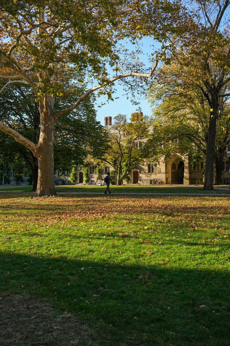 Peaceful college campus with green lawns in early fall