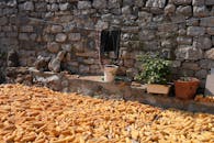Rustic Stone Wall with Drying Corn Outdoors