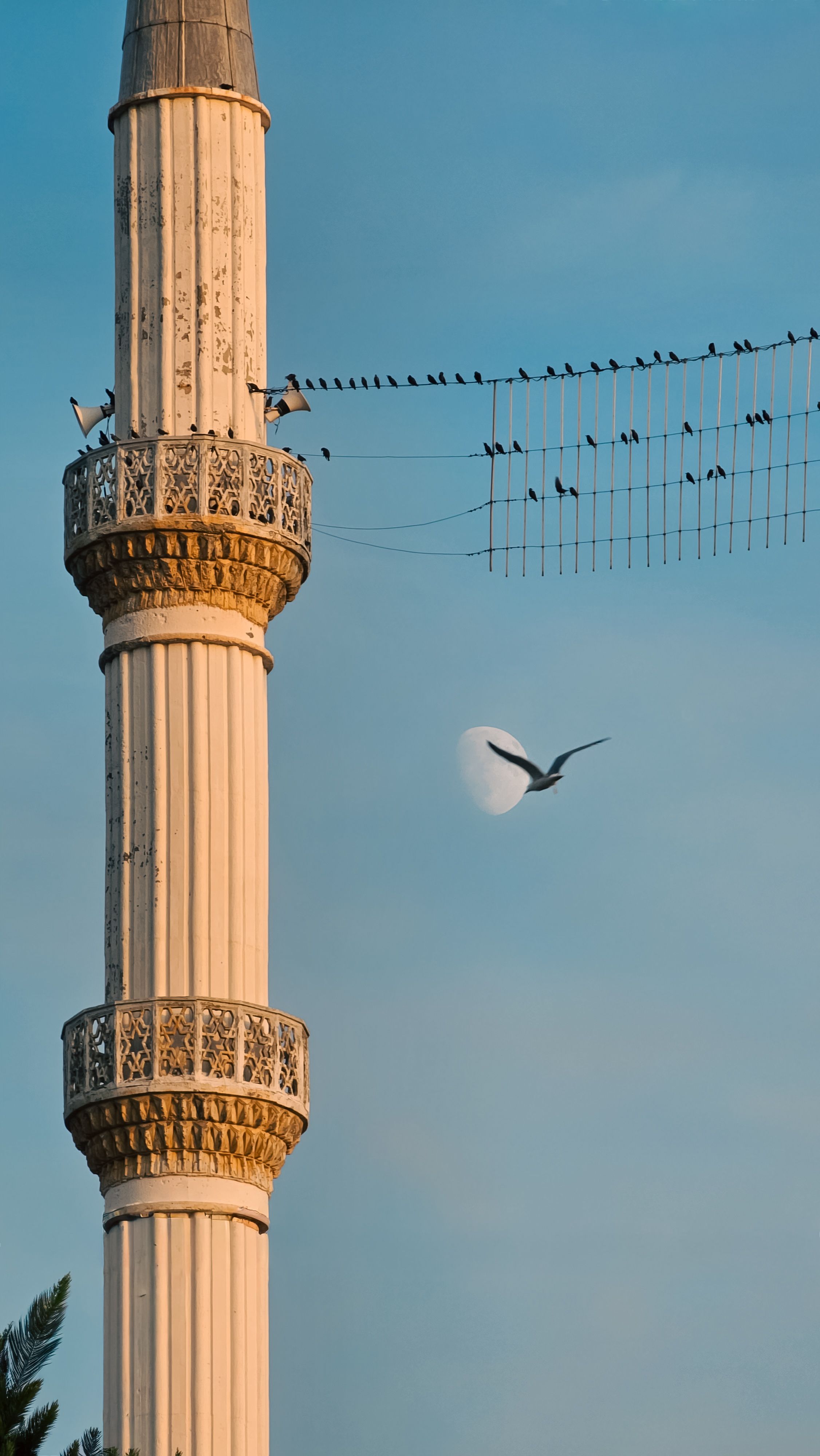 A striking minaret at sunset with birds perched and flying by, creating a serene scene.