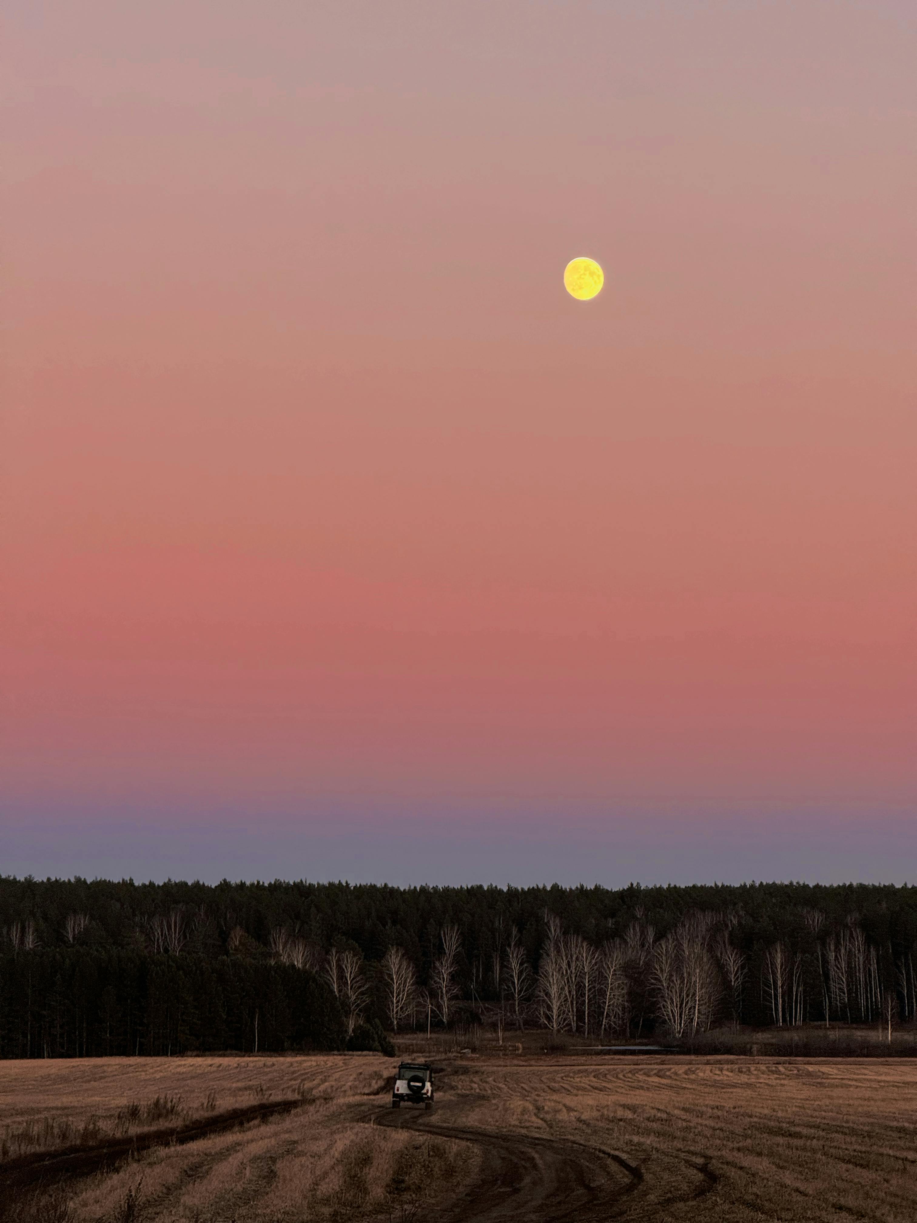 A serene twilight scene with a full moon over the Siberian taiga near Dvurechensk, Russia.