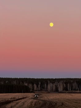 A serene twilight scene with a full moon over the Siberian taiga near Dvurechensk, Russia.