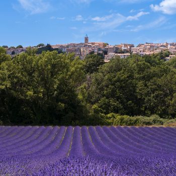 Provence