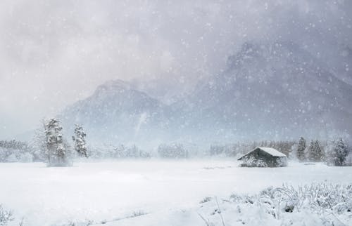 Photo of Snowy Field