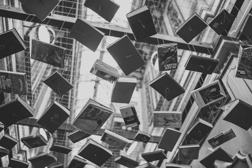 Free Grayscale Photo of Hanging Books Stock Photo