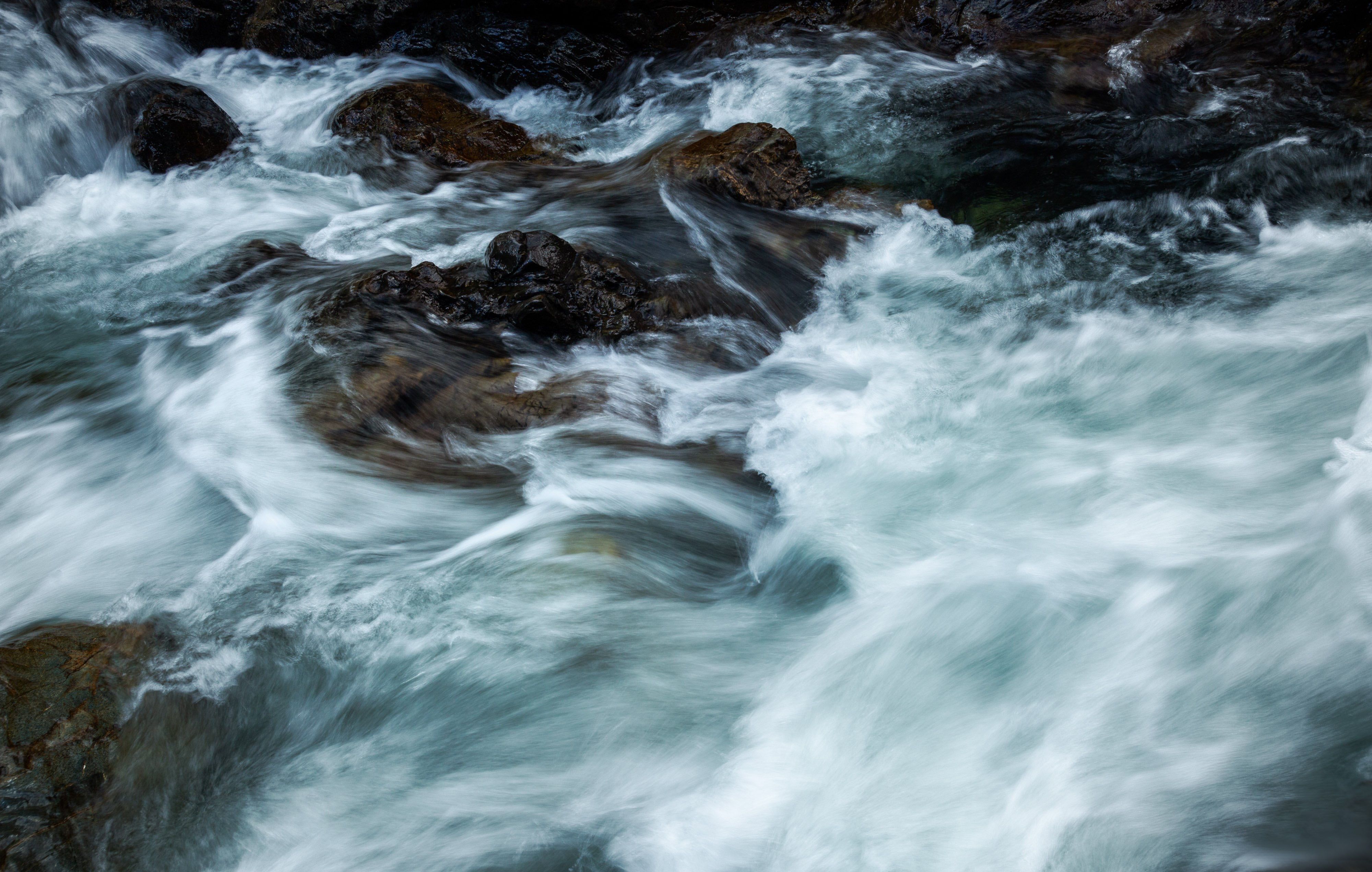 Flow States: The Science of Peak Mental Performance (2026)