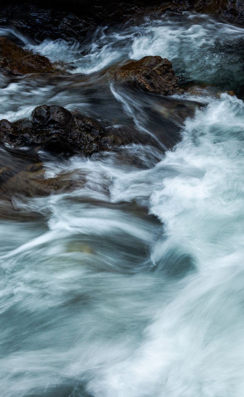 Flow States: The Science of Peak Mental Performance (2026)