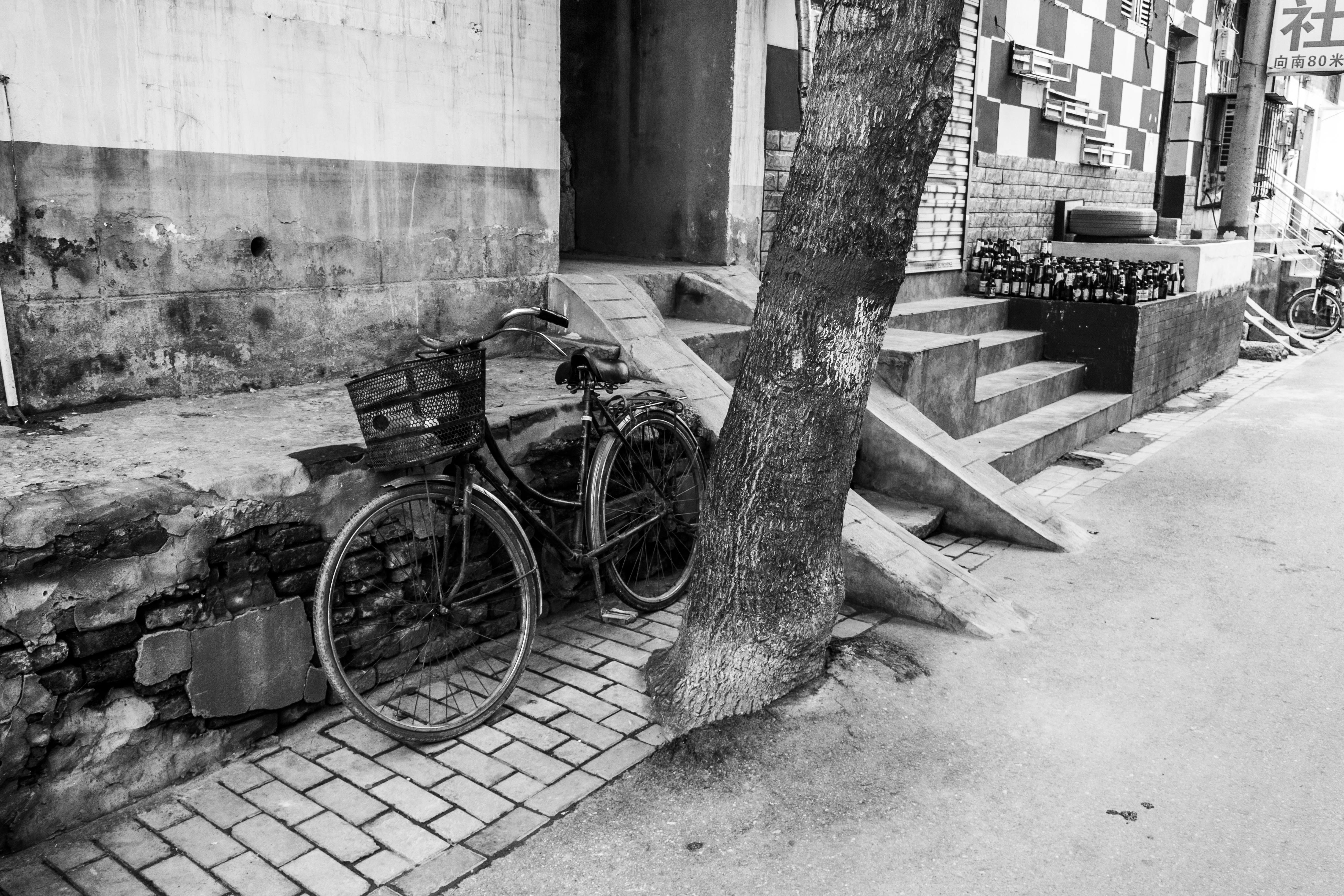 Black and white photo of a vintage bicycle against a rustic urban wall.