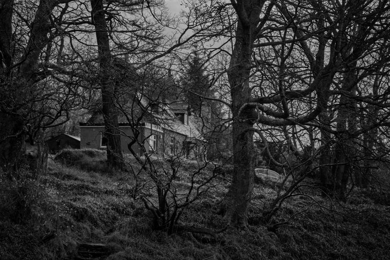 abandoned house forest eerie black white
