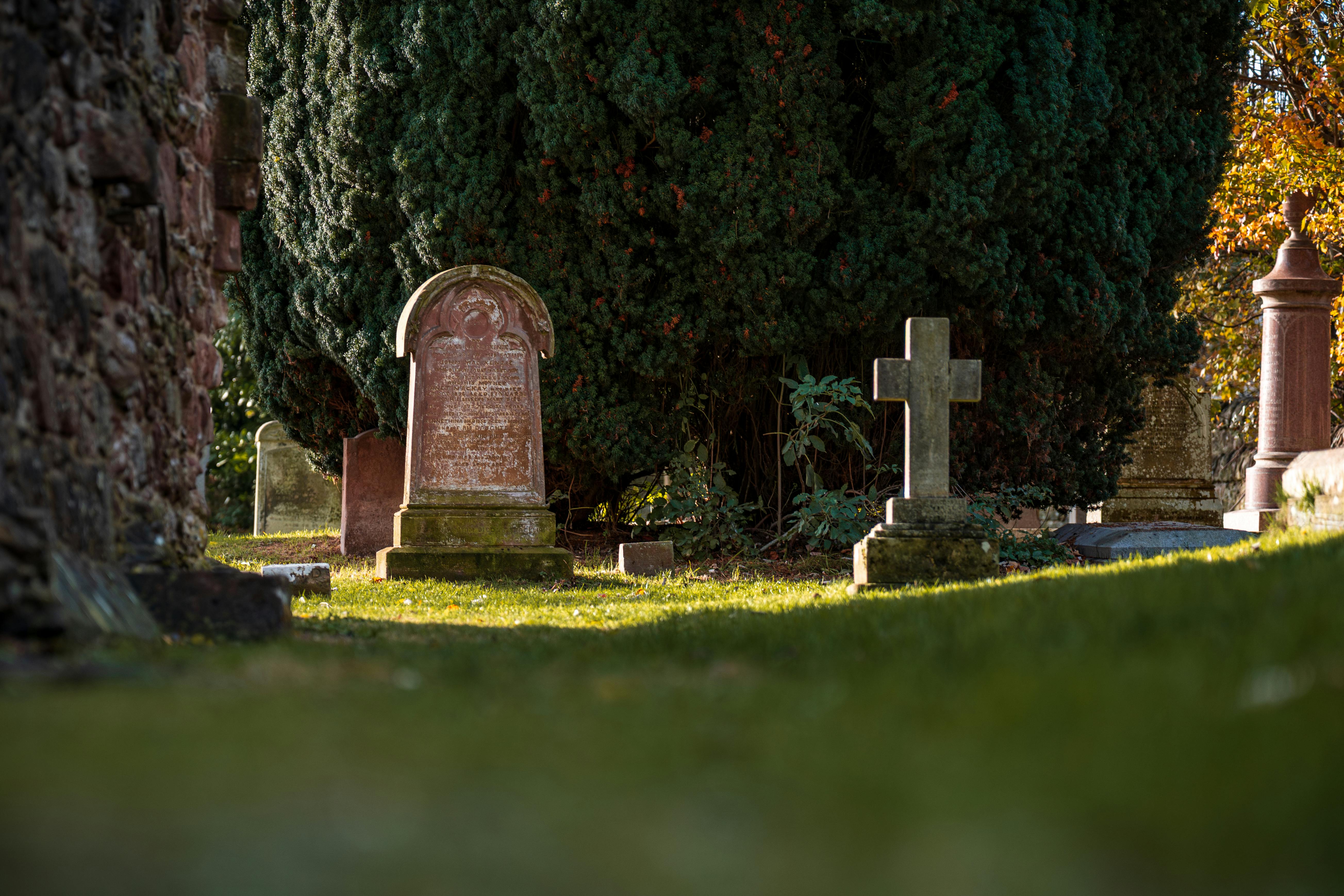 政治：鄭麗文強調悼念白色恐怖受難者與吳石無關