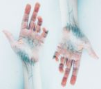 Photo of Hands with blue veins