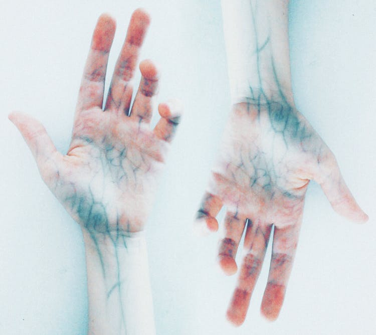 Photo Of Hands With Blue Veins
