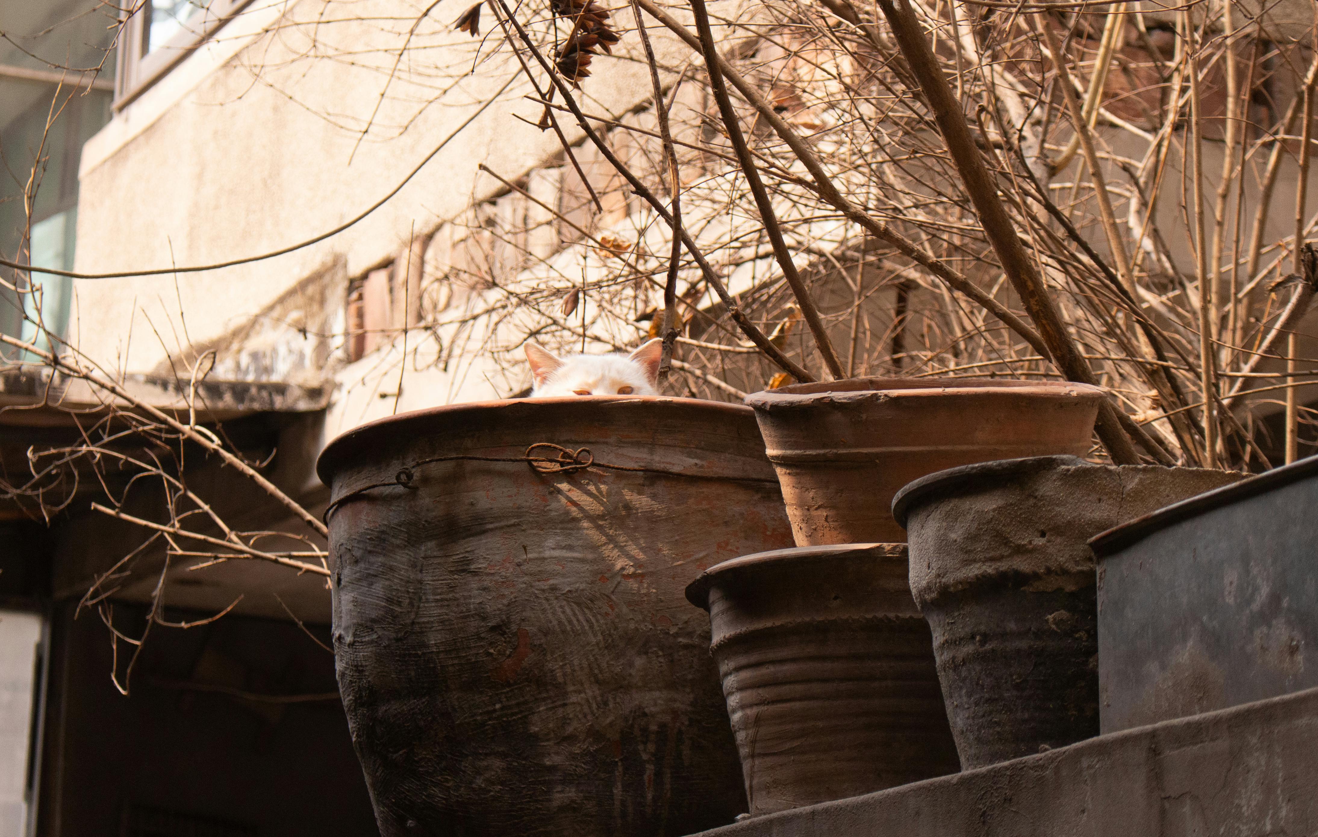 生活：農村酒莊攜手笠間燒 臺日共創傳統文化新風貌