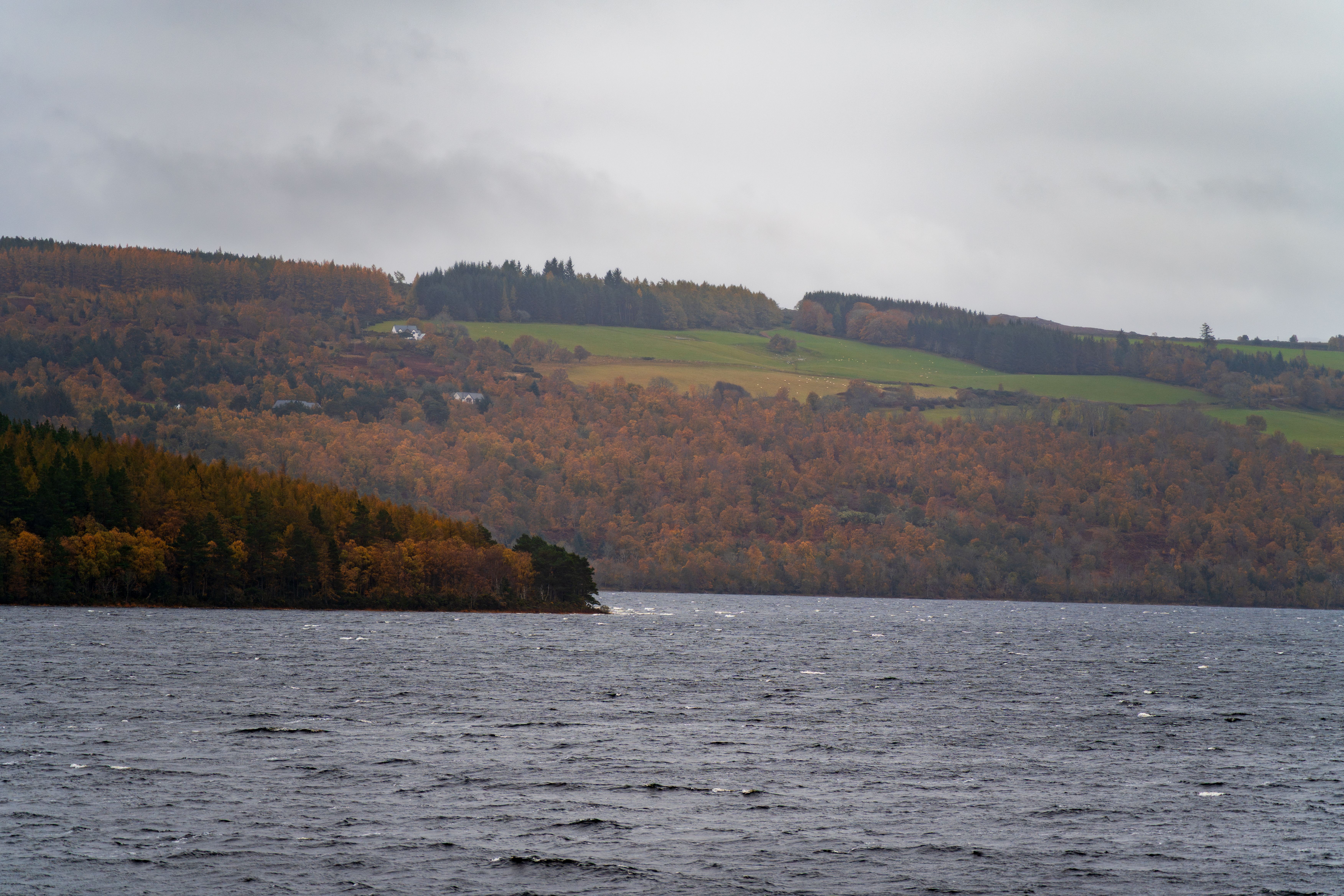Serene view of Loch Ness with lush autumn foliage and calm waters on an overcast day.