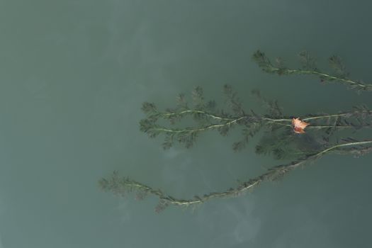 Image by Madzery Ma
