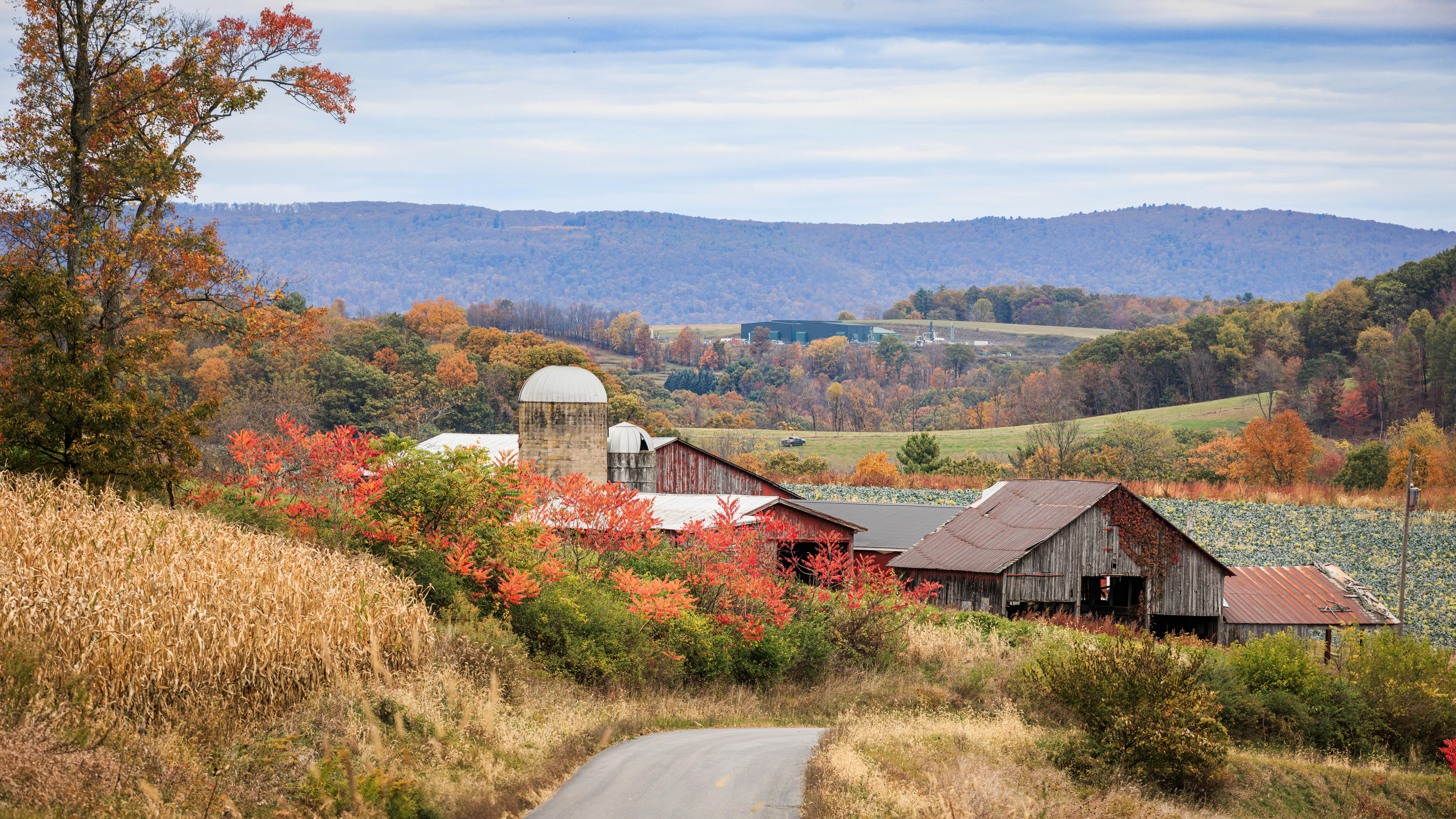 Exploring the Heart of Pennsylvania: Road Trip Adventures