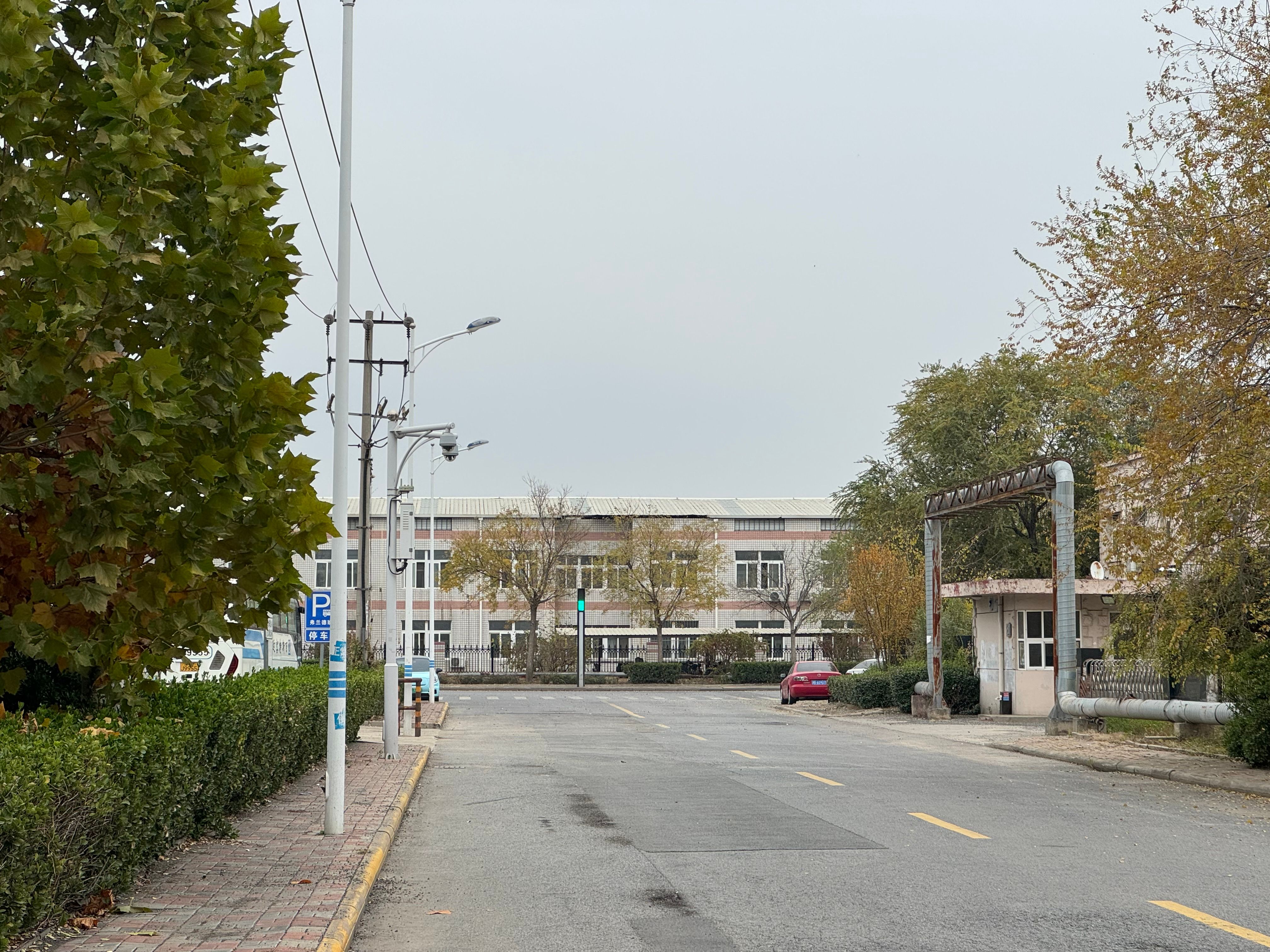 Autumn city street lined with trees, streetlights and an apartment building.