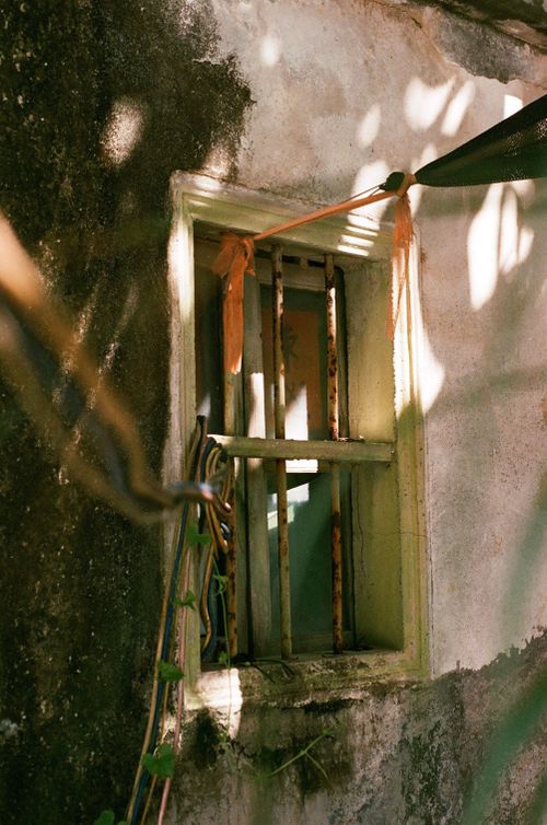 Free A weathered window with iron bars bathed in dappled sunlight, surrounded by a textured wall. Stock Photo