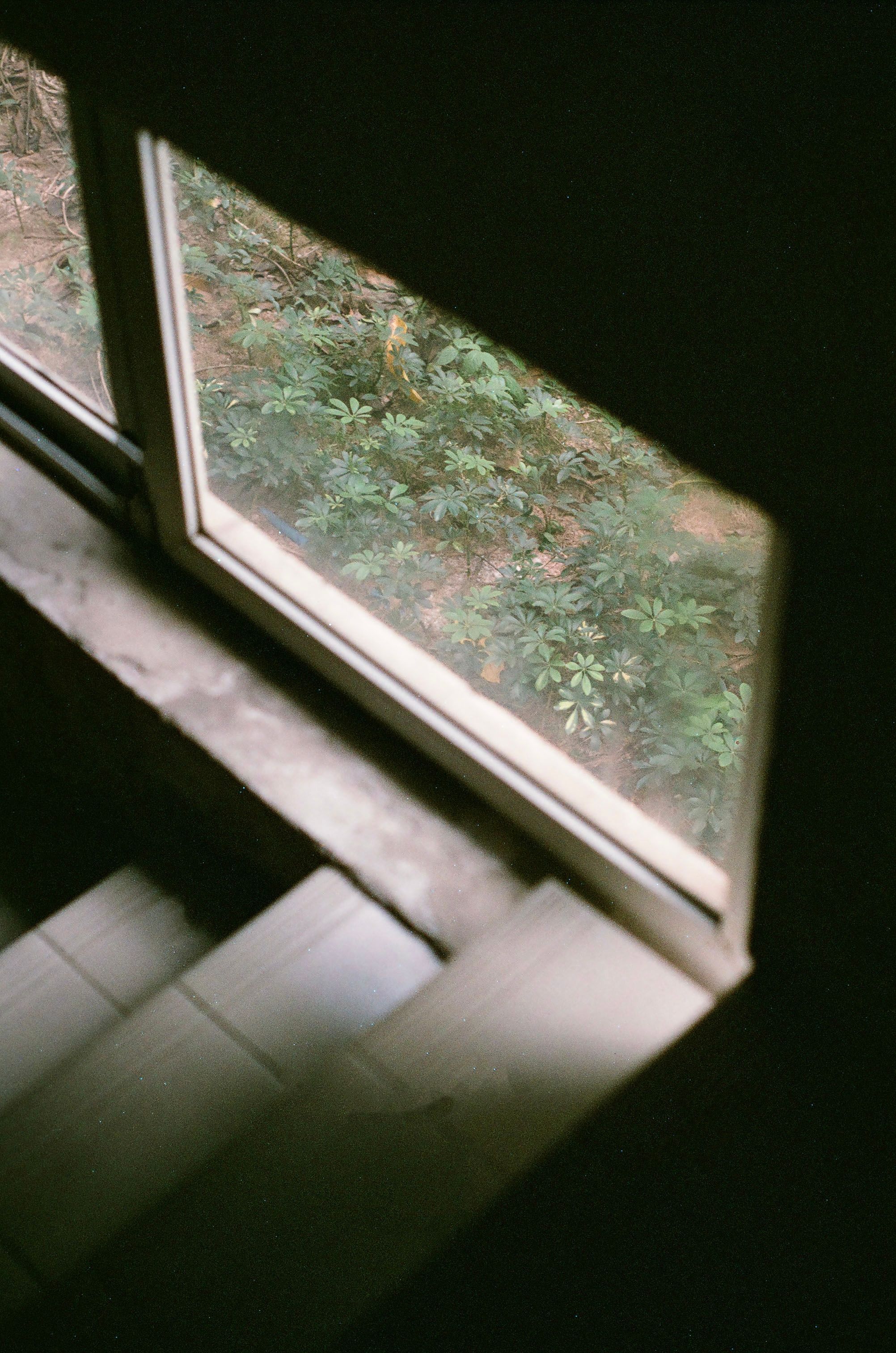 Window of House · Free Stock Photo