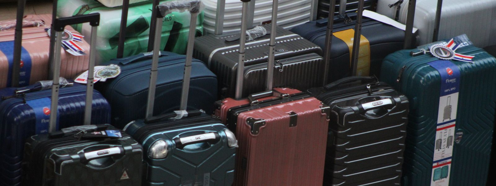 A variety of modern suitcases neatly arranged for travel enthusiasts.