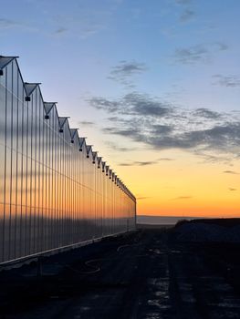 Reflective greenhouse wall at sunset in Kayseri, Türkiye.