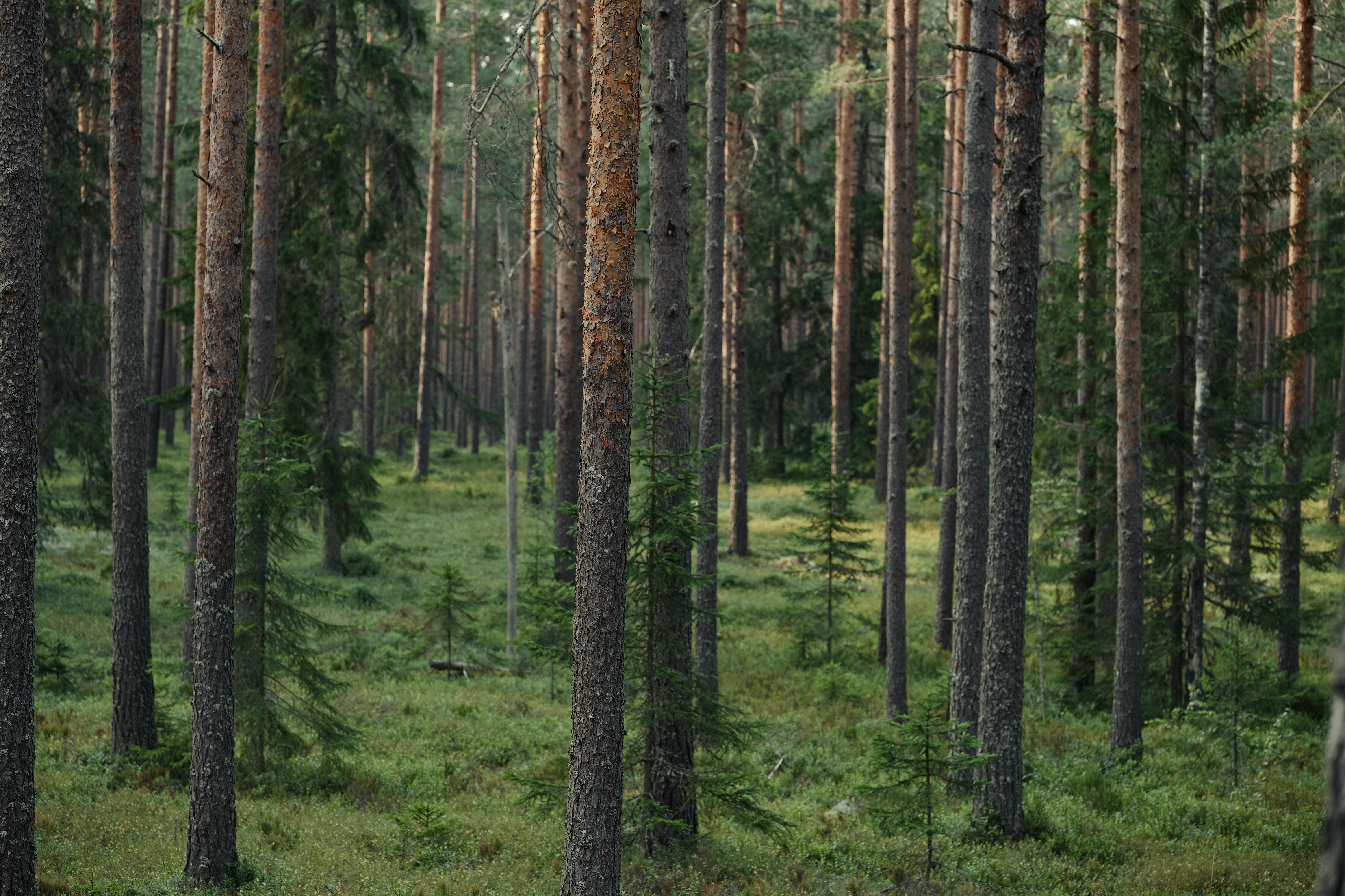 Alien Life Discoveries and Exploring Mysterious Worlds