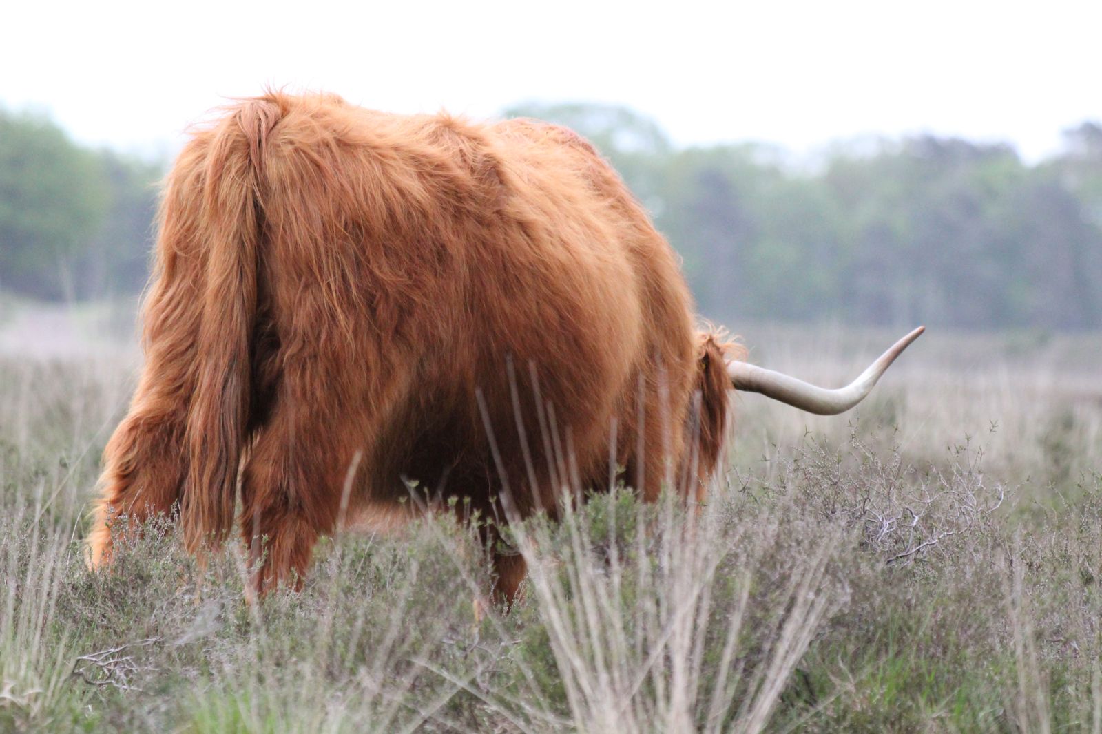 De Veluwezoom is het oudste nationale park van Nederland