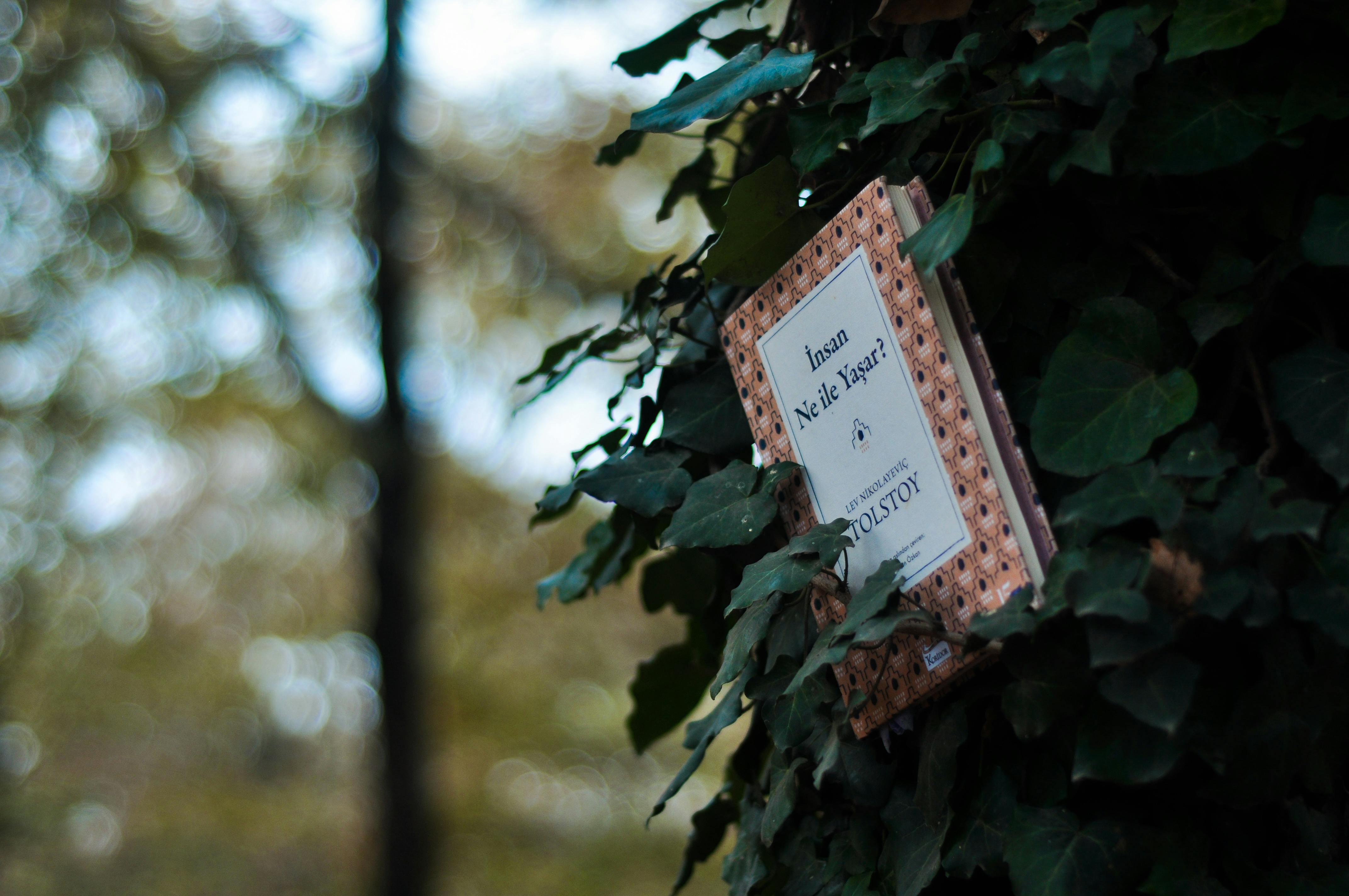 Philosophy Book Of The Samurai