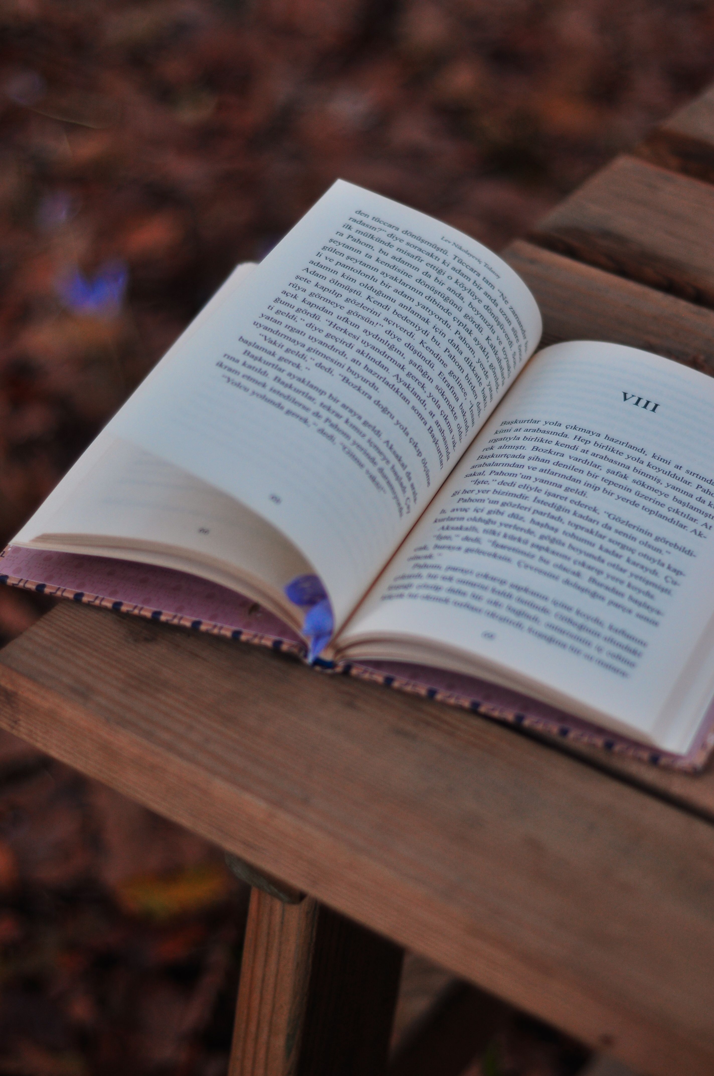 Open book on a wooden table set outdoors with leaves in the background, suggesting an autumn mood.