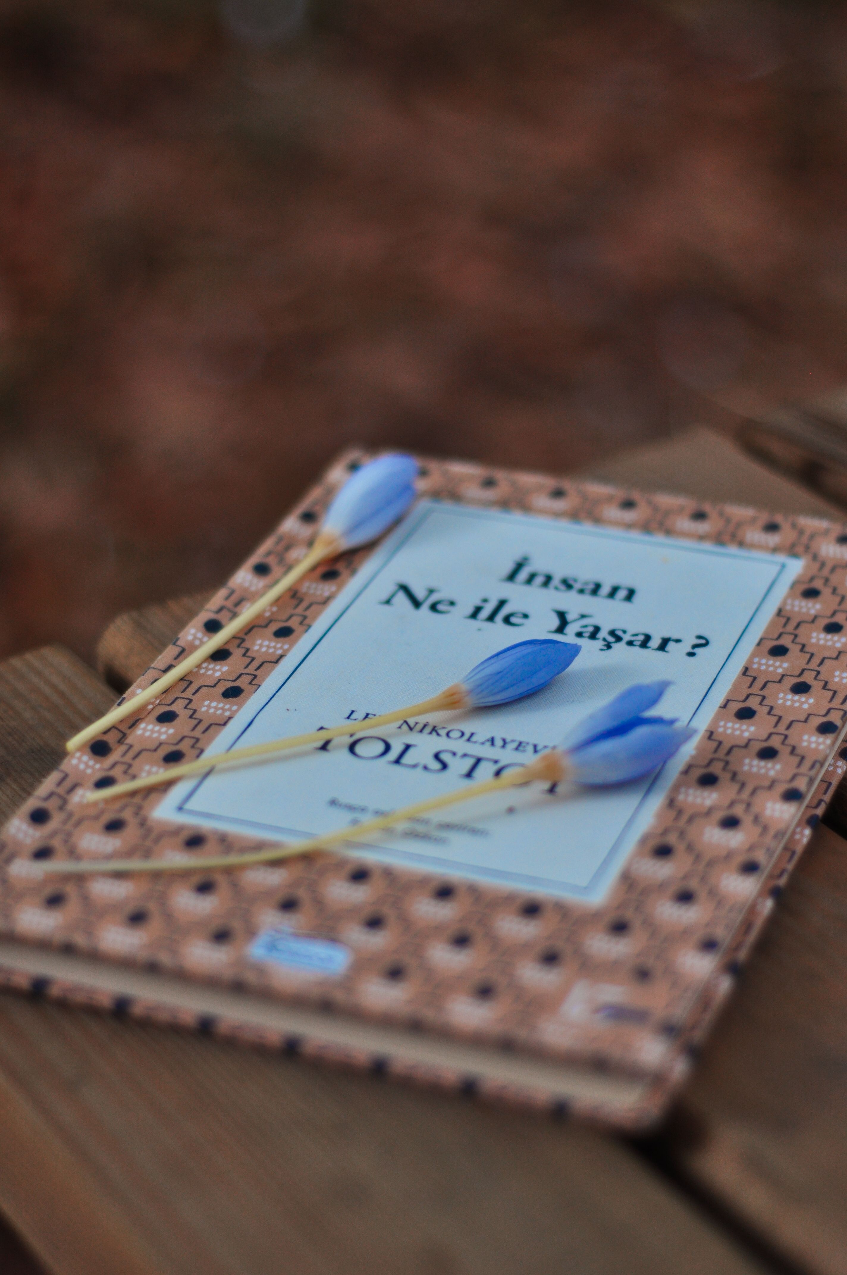 A book titled 'İnsan Ne ile Yaşar?' with blue flowers on a rustic wooden background.