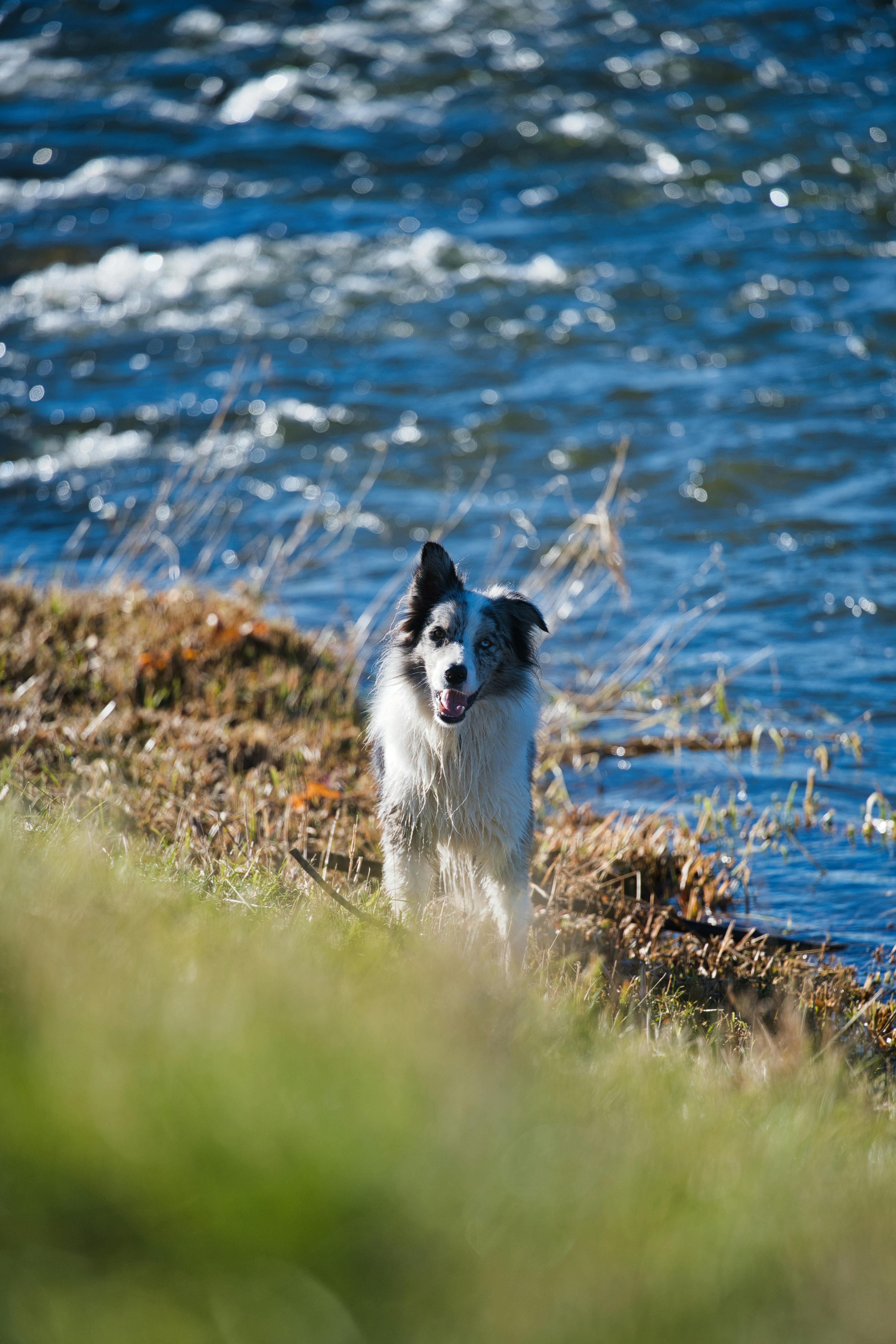Outreach-Mails Rechtssicher Gestalten: Tipps Für Maximale Wirkung 10 3 Beispiele für erfolgreiche Outreach-Mails, die rechtlich einwandfrei sind