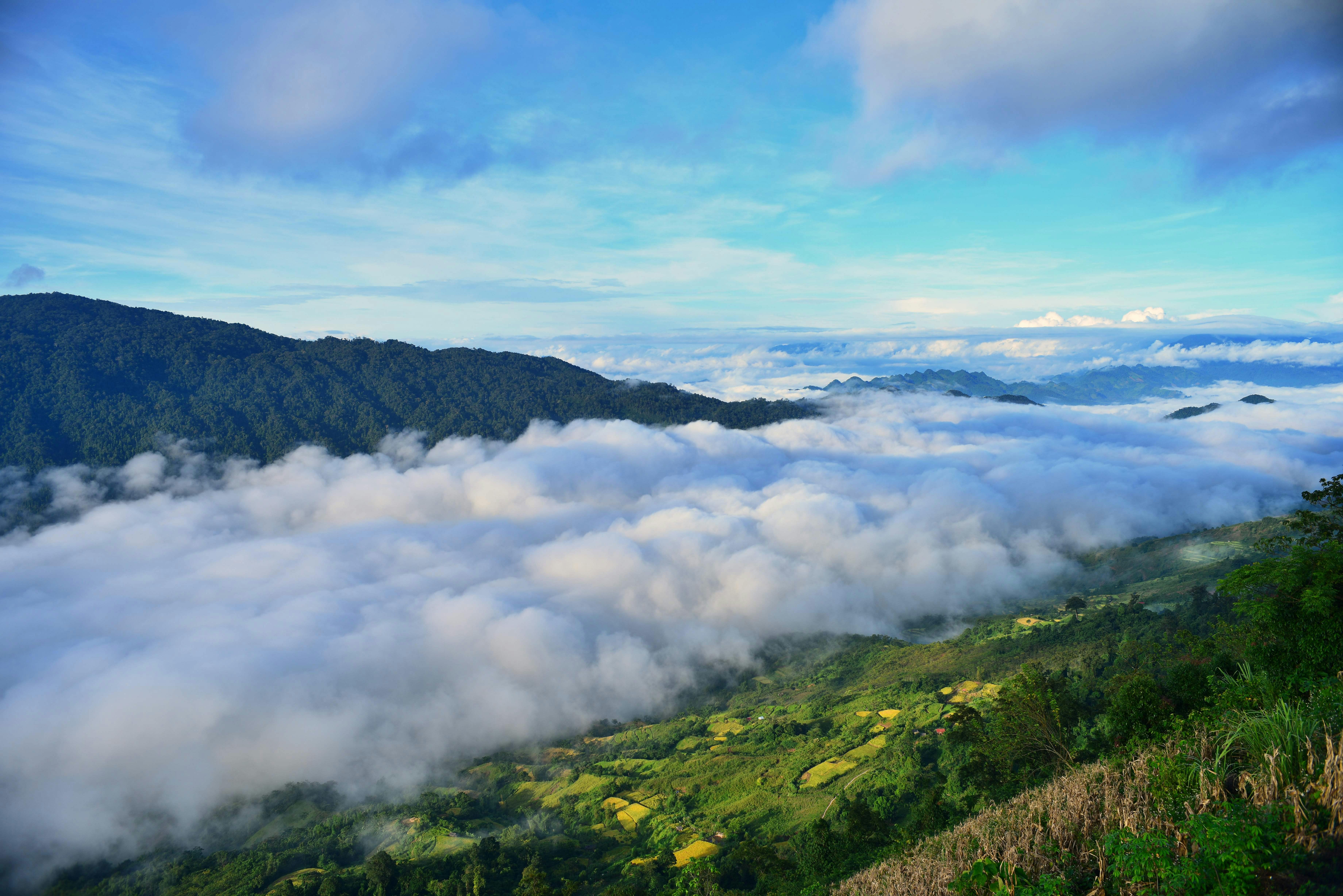 Top Tips for Mastering Remote Team Management