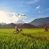 Ninh Binh Bike Ride Experience