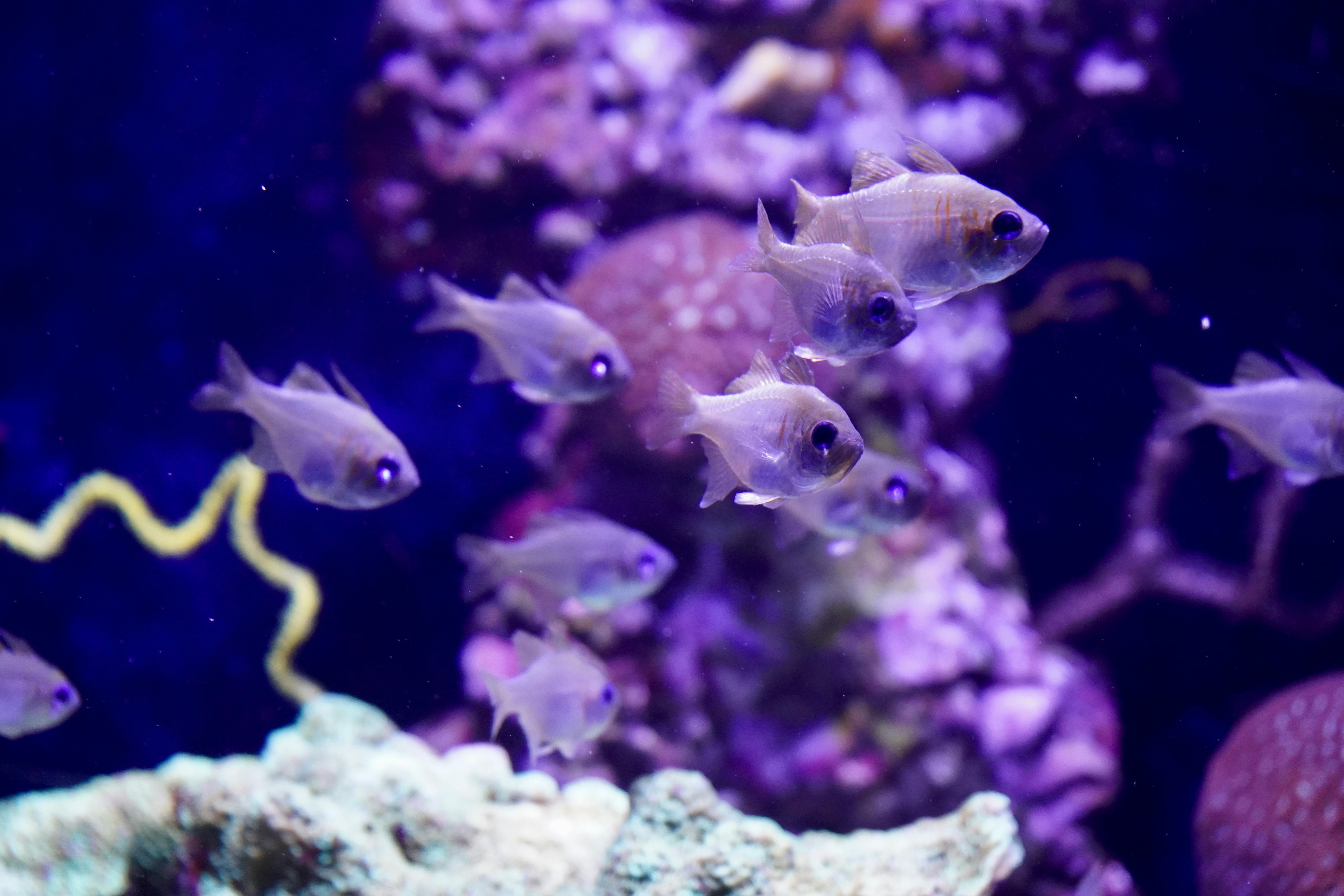 生活：彰化終於宣布明天停班停課，民眾提前做好準備