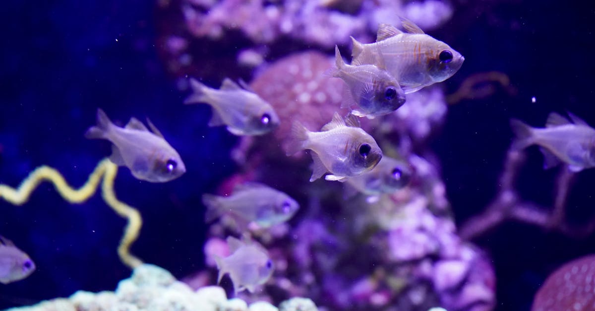 生活:彰化終於宣布明天停班停課,民眾提前做好準備