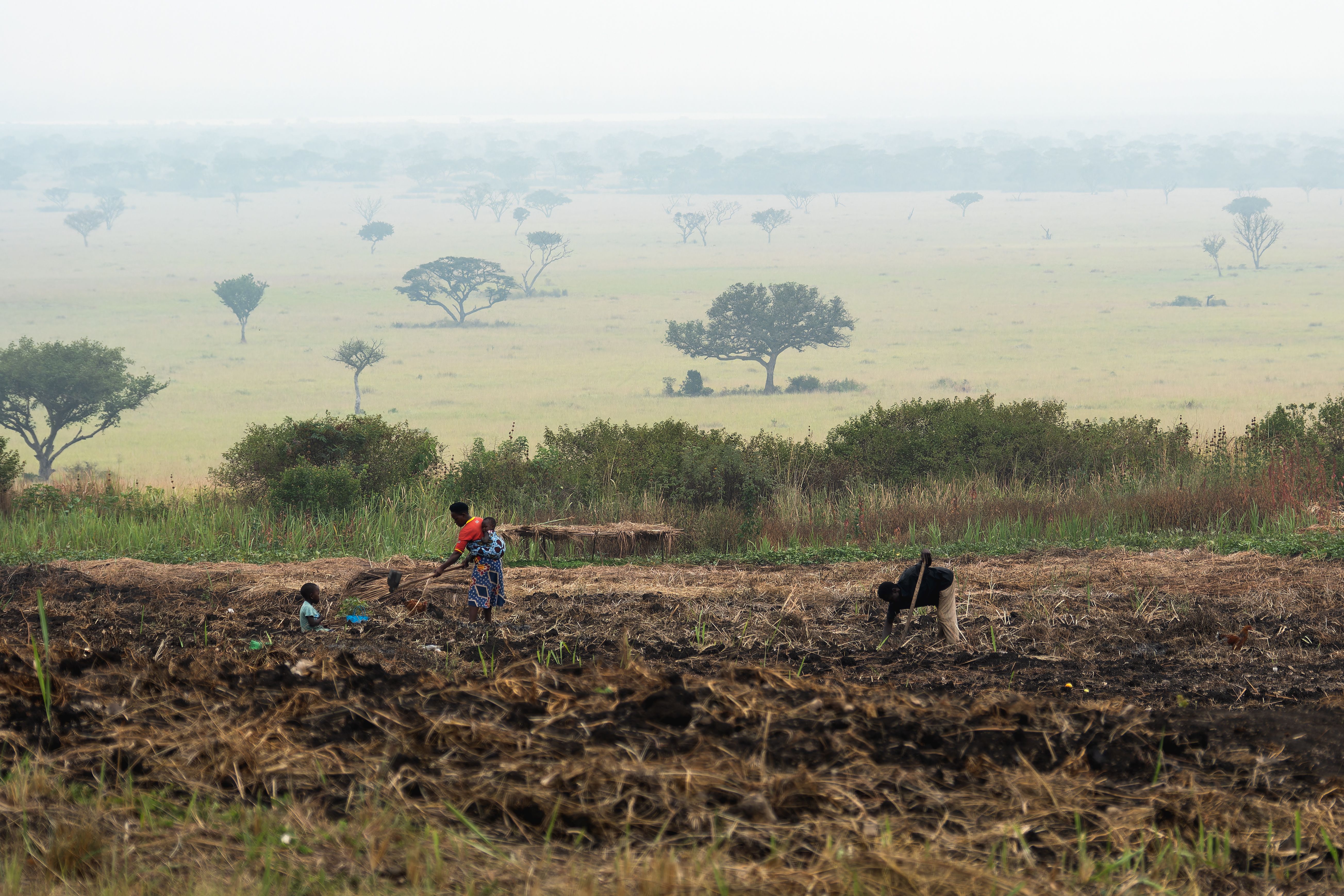 Rural Farmers Working in African Landscape · Free Stock Photo