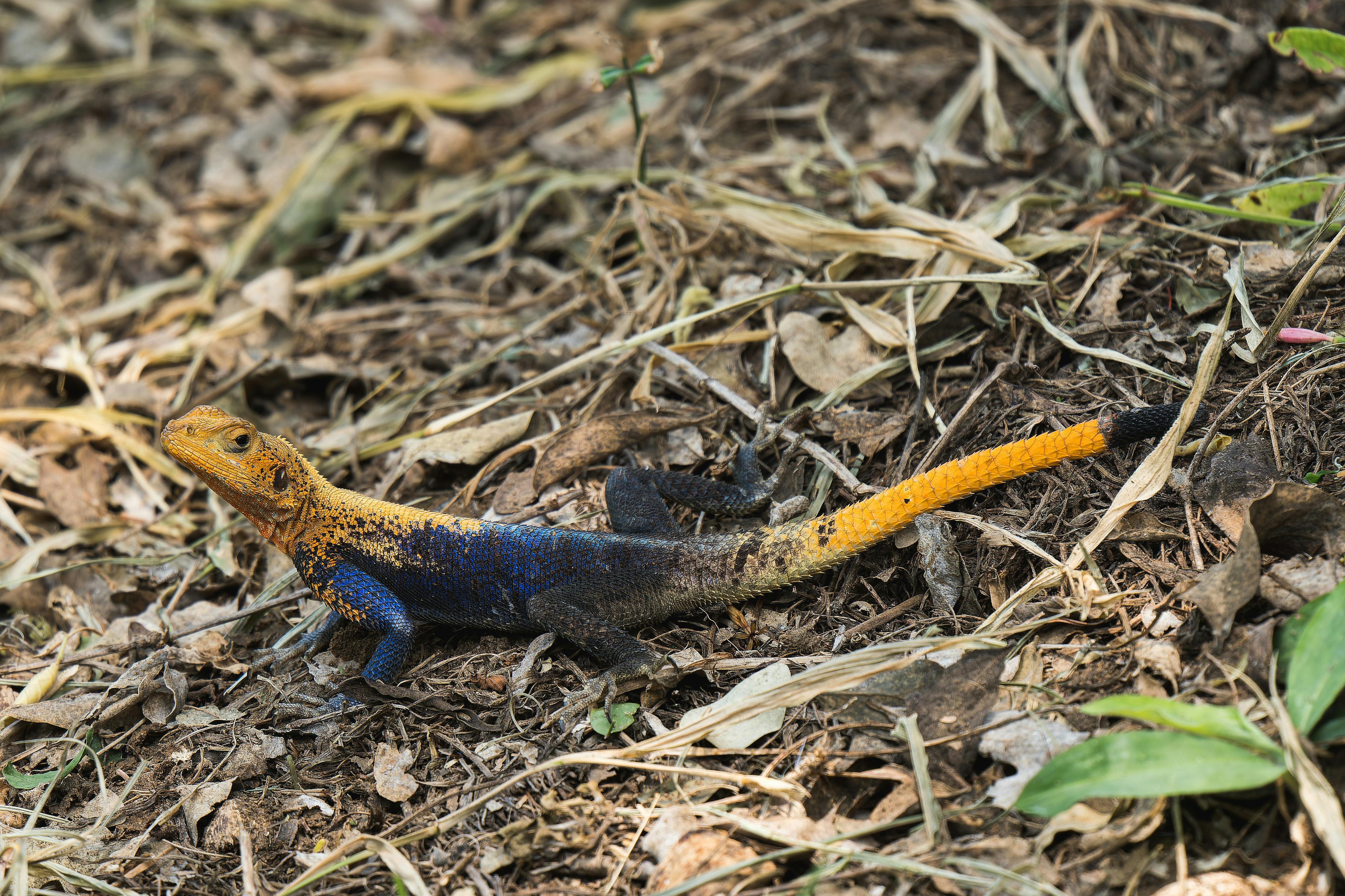 聽見生活的秘密：北美館「聽痕跡說悄悄話」展覽探索細節美學