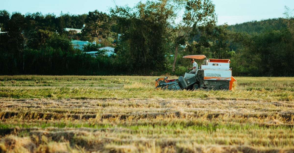 Analyser l'impact des politiques agricoles sur le marché des pièces