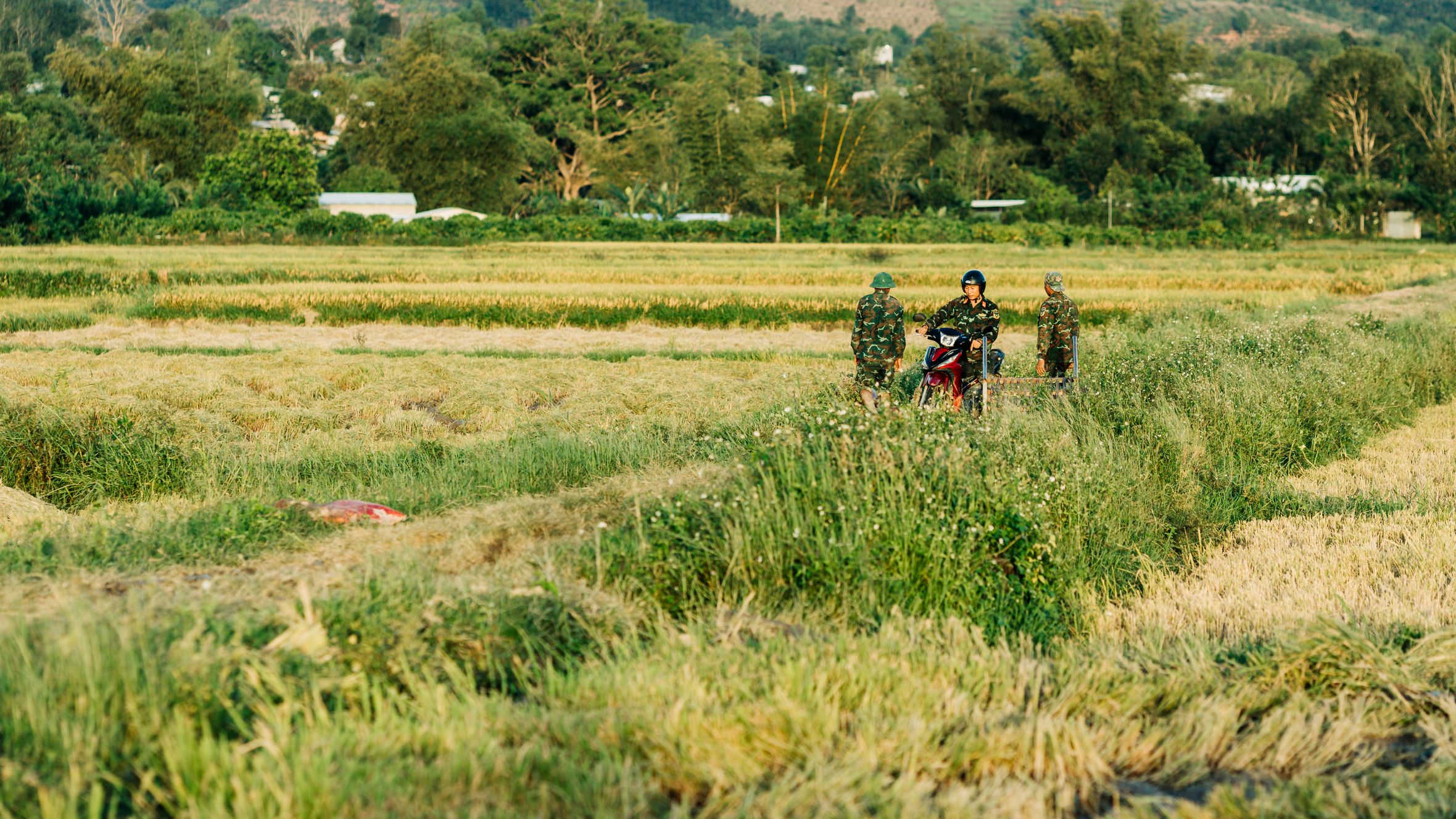 Farmers conversing in a lush green field with a backdrop of trees and mountains in Kon Tum, Vietnam.
