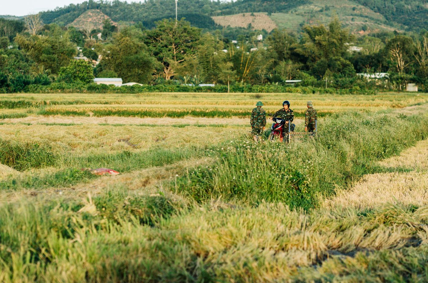ภาพประกอบ เงินซ่อมบ้านน้ำท่วม 2569 มาจากระบบไหน