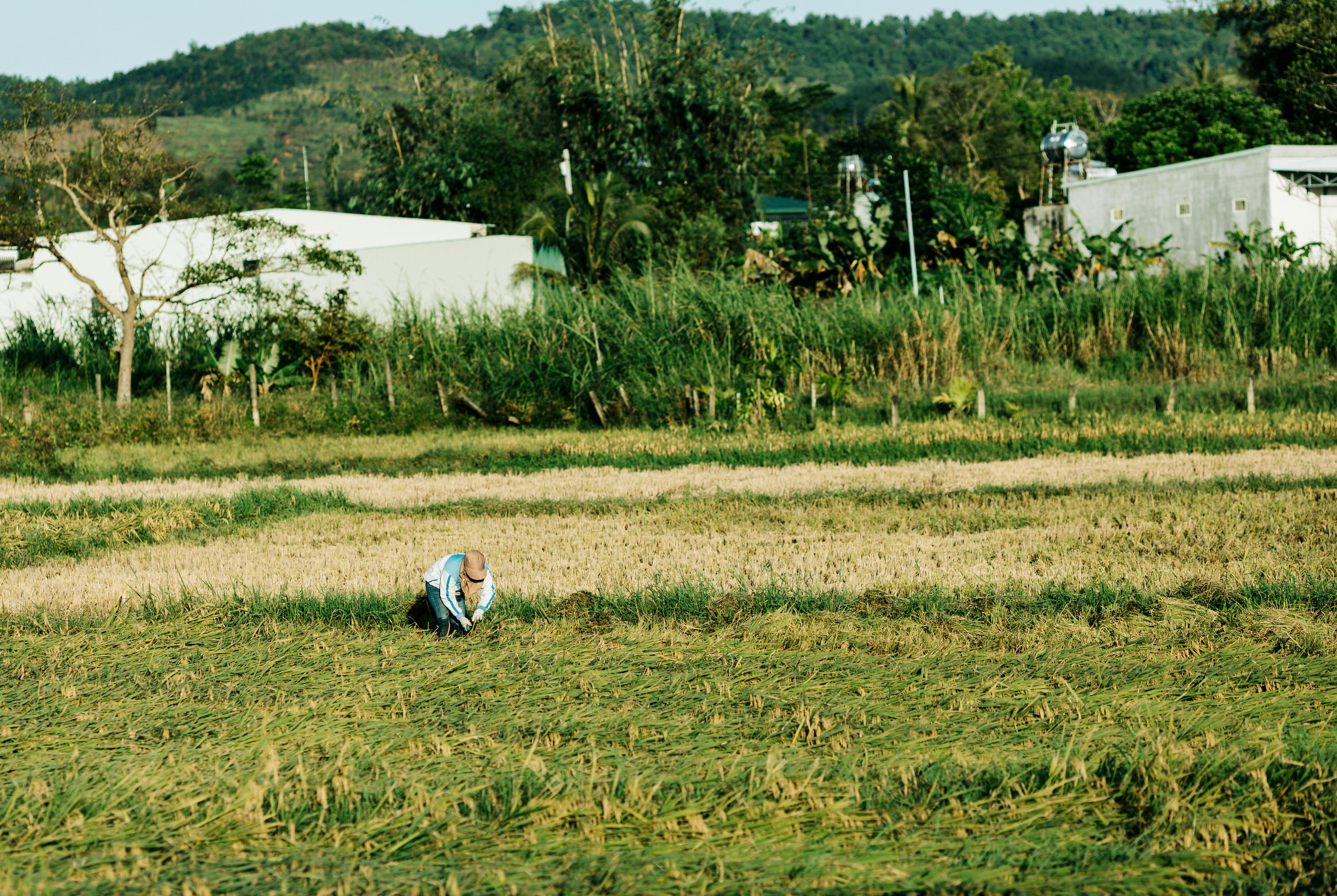 US Department of Labor issues advisory opinion on Idaho Farm Bureau Federation’s proposed group health insurance plan — Photo