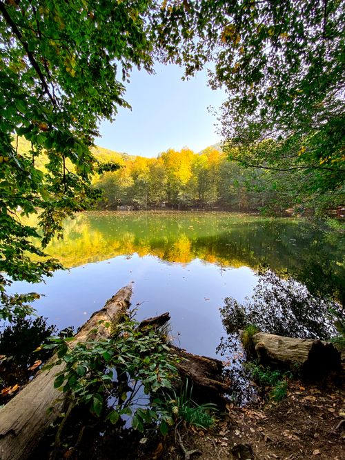 Free Tranquil lake in a forest setting with vibrant autumn foliage and clear reflections. Stock Photo