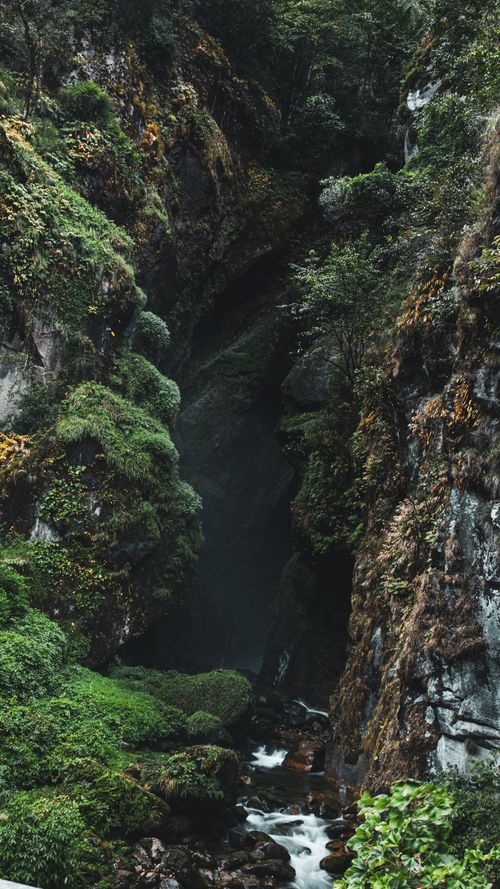Free A picturesque scene of a green canyon with a stream flowing gently through it surrounded by lush forest. Stock Photo